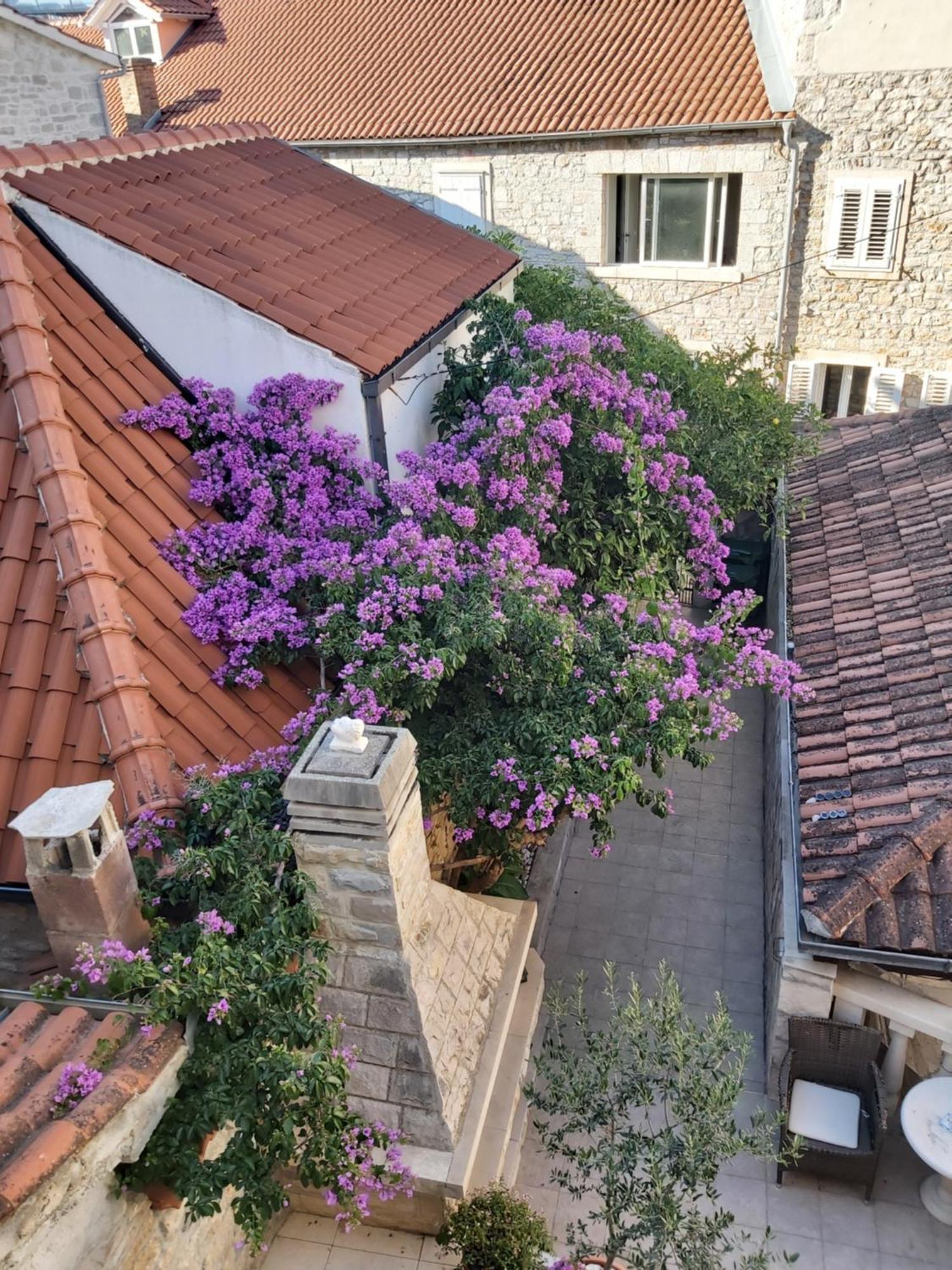 Vila Dora Supetar Apartment Стая снимка